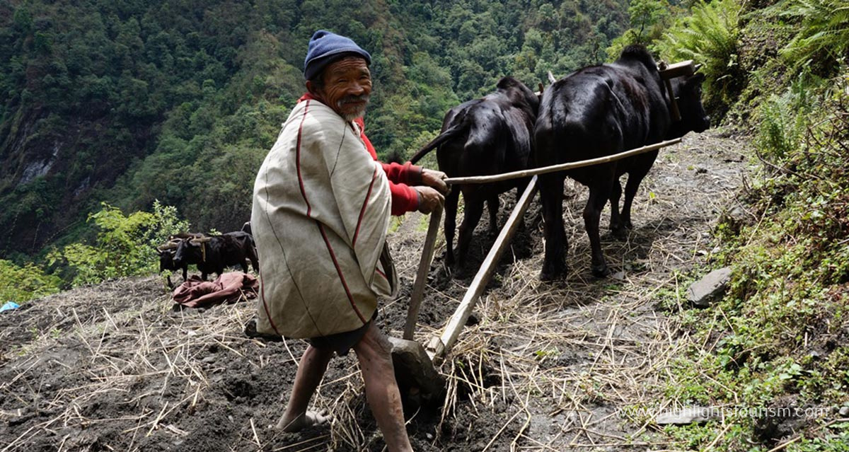 Gurja, A remote village of Nepal 