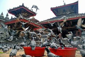 Kathmandu Durbar square