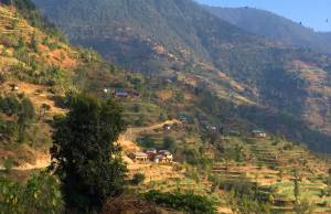 Bareng rural municipality