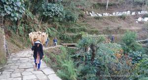 Beautiful Nepali village attracts Tourists 