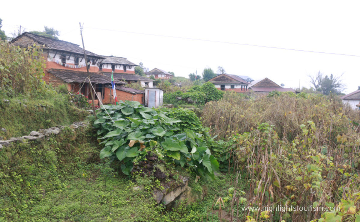 The Thaple Tiger Hill 