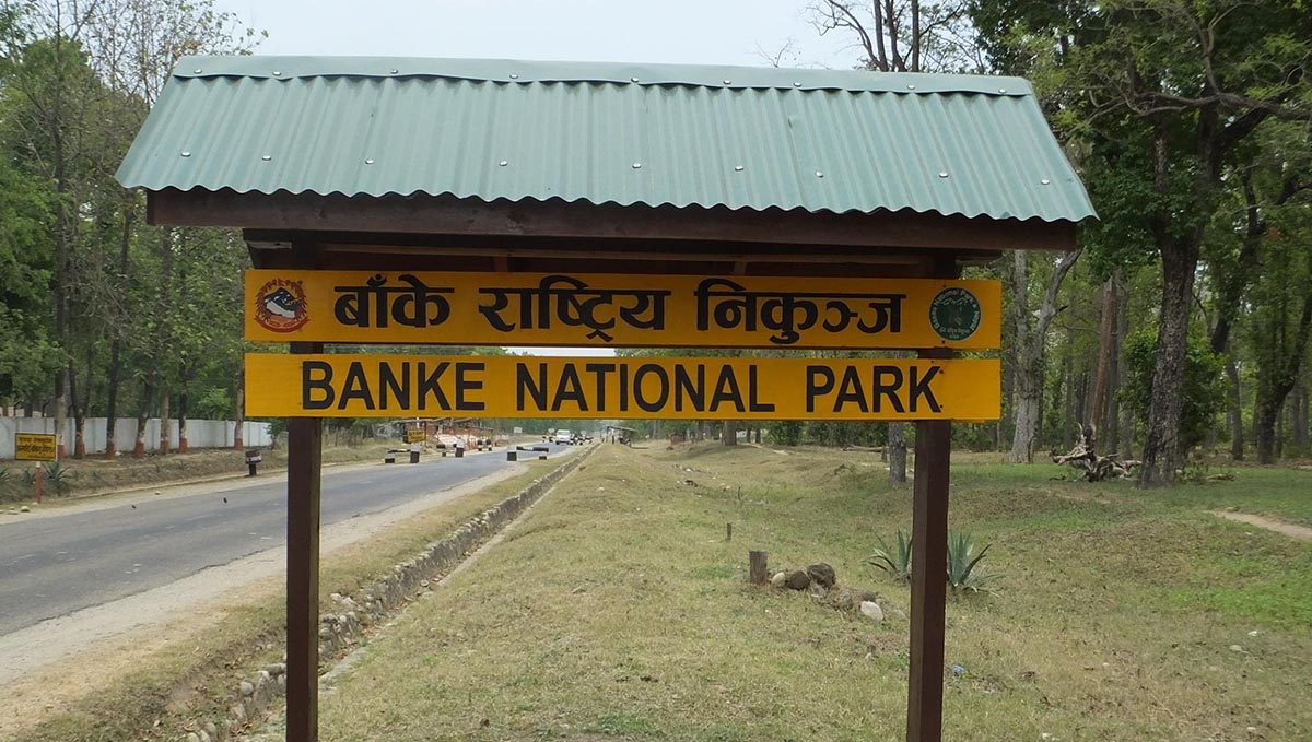 Banke National Park 