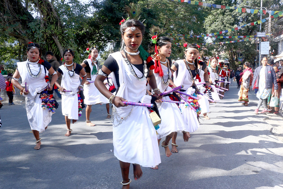 Pokhara street Festival