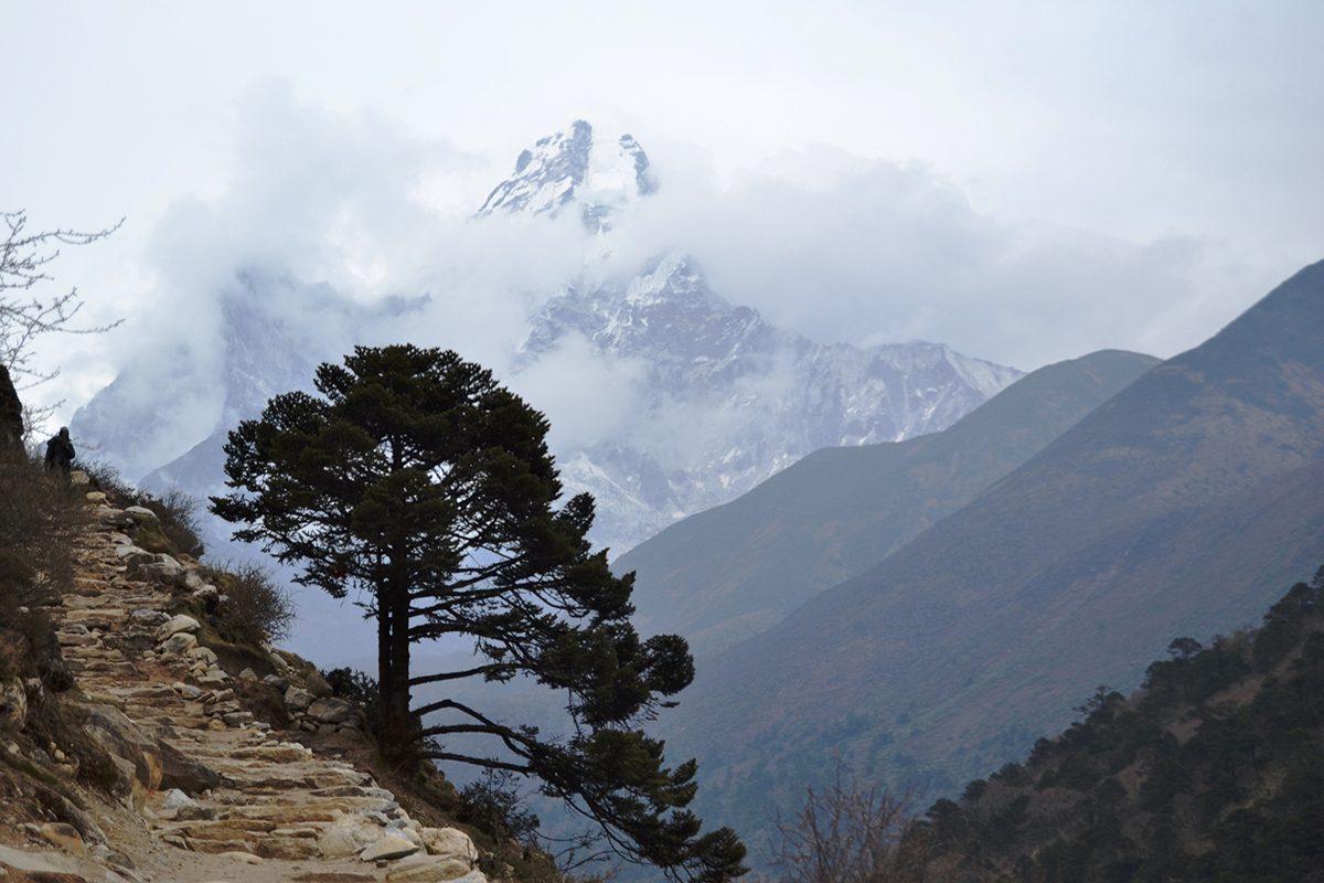 Everest base camp trek 